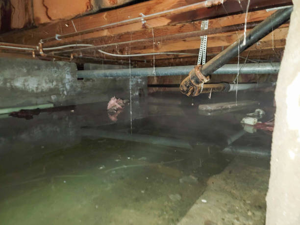 Sewage cleanup and water damage restoration in Pymatuning Central, PA