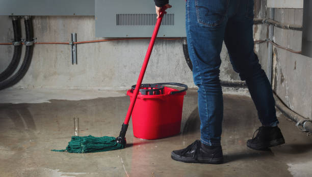 Best Basement water damage restoration  in Pymatuning Central, PA