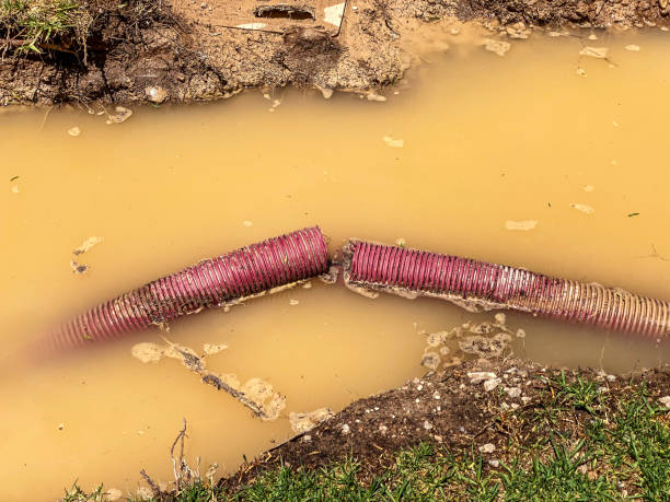 Best Water damage restoration near me  in Pymatuning Central, PA