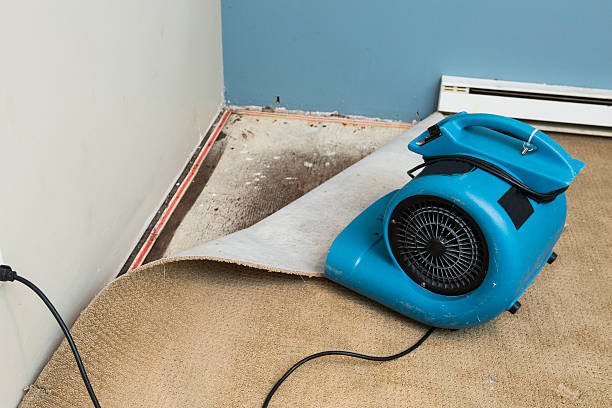 Best Water damage restoration mold remediation  in Pymatuning Central, PA